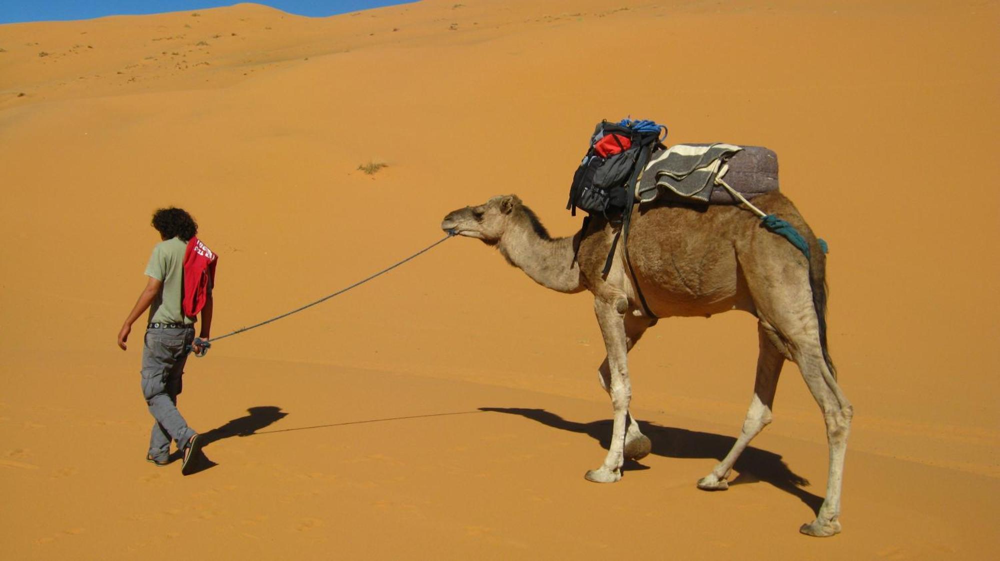 Auberge Camping Ocean Des Dunes Merzouga Buitenkant foto